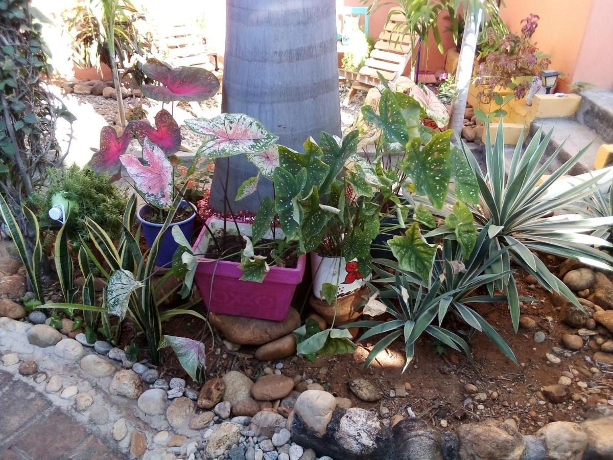 Casa Gio Puerto Escondido (Oaxaca) Exterior foto